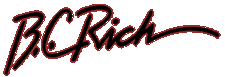 www.bcrichguitars.com